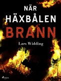 När häxbålen brann (eBook, ePUB)