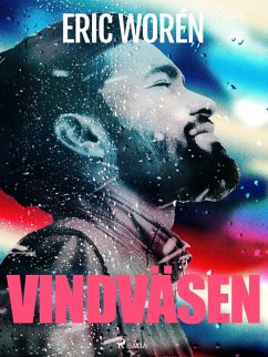 Cover Vindväsen (eBook, ePUB)