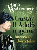 Gustav II Adolfs ungdom: historisk berättelse (eBook, ePUB)