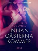 Innan gästerna kommer - erotisk novell (eBook, ePUB)