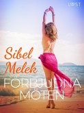 Förbjudna möten - erotisk novell (eBook, ePUB) Förbjudna möten - erotisk novell (eBook, ePUB)