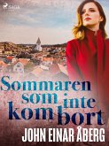 Sommaren som inte kom bort (eBook, ePUB)