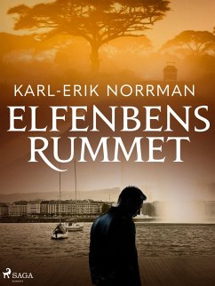Cover Elfenbensrummet (eBook, ePUB)