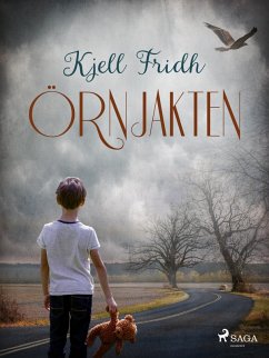 Cover Örnjakten (eBook, ePUB)