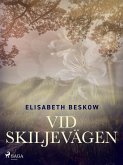 Vid skiljevägen (eBook, ePUB)