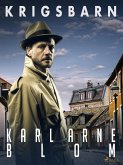 Krigsbarn (eBook, ePUB)