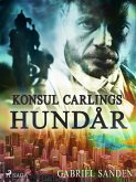Konsul Carlings hundår (eBook, ePUB)