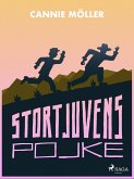 Stortjuvens pojke (eBook, ePUB)