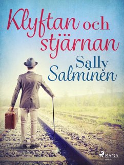 Cover Klyftan och stjärnan (eBook, ePUB)