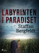 Labyrinten i paradiset (eBook, ePUB) - Bild 1