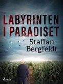 Labyrinten i paradiset (eBook, ePUB) Labyrinten i paradiset (eBook, ePUB)