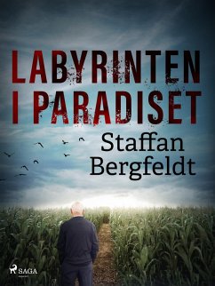 Cover Labyrinten i paradiset (eBook, ePUB)