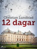 12 dagar (eBook, ePUB) 12 dagar (eBook, ePUB)