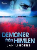 Demoner från himlen (eBook, ePUB)