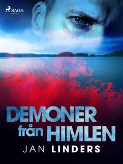 Cover Demoner från himlen (eBook, ePUB)