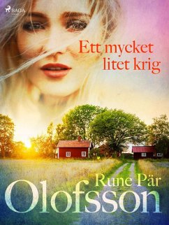 Ett mycket litet krig (eBook, ePUB) - Olofsson, Rune Pär