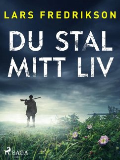 Cover Du stal mitt liv (eBook, ePUB)