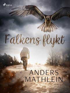 Falkens flykt (eBook, ePUB) - Mathlein, Anders