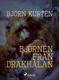 Björnen från Drakhålan (eBook, ePUB)