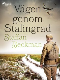 Cover Vägen genom Stalingrad (eBook, ePUB)