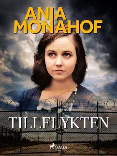 Cover Tillflykten (eBook, ePUB)