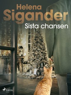 Cover Sista chansen (eBook, ePUB)