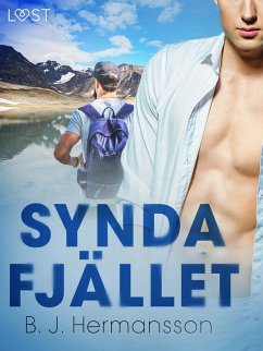 Cover Syndafjället - erotisk novell (eBook, ePUB)