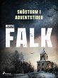 Snöstorm i adventstider (eBook, ePUB) - Bild 1