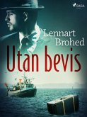 Utan bevis (eBook, ePUB)