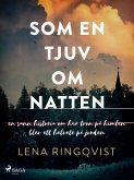 Som en tjuv om natten (eBook, ePUB) Som en tjuv om natten (eBook, ePUB)