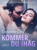 Kommer du ihåg - erotisk novell (eBook, ePUB)