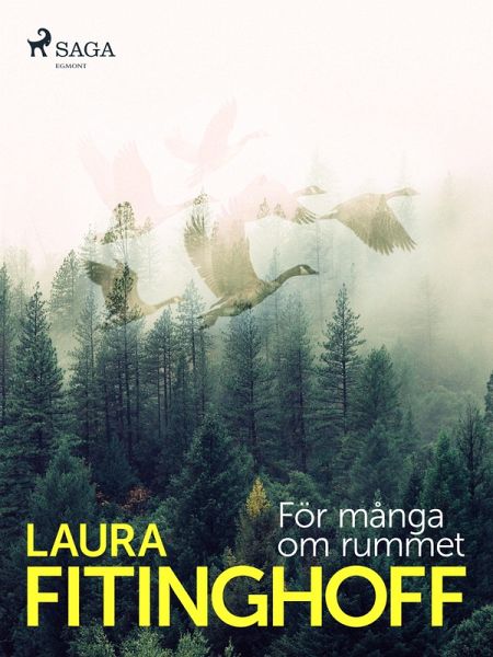 För många om rummet (eBook, ePUB) För många om rummet (eBook, ePUB)