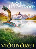 Vidundret (eBook, ePUB)