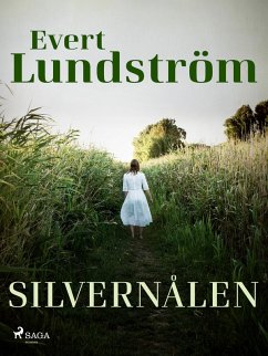 Silvernålen (eBook, ePUB) - Lundström, Evert