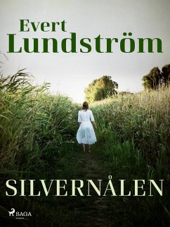 Cover Silvernålen (eBook, ePUB)