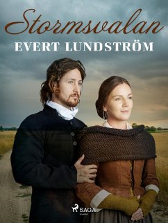 Cover Stormsvalan (eBook, ePUB)