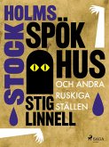 Stockholms spökhus och andra ruskiga ställen (eBook, ePUB)