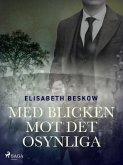 Med blicken mot det osynliga (eBook, ePUB)