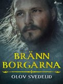 Bränn borgarna (eBook, ePUB)