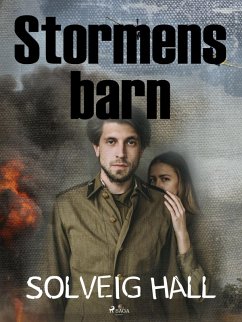 Cover Stormens barn (eBook, ePUB)