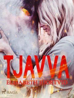 Cover Tjavva (eBook, ePUB)