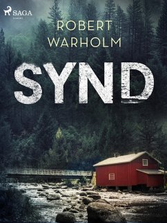 Synd (eBook, ePUB) - Warholm, Robert