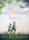 De haltande åren (eBook, ePUB)