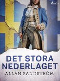 Det stora nederlaget (eBook, ePUB)