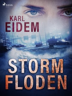 Cover Stormfloden (eBook, ePUB)