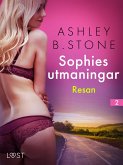 Sophies utmaningar 2: Resan - erotisk novell (eBook, ePUB)
