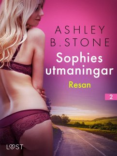 Cover Sophies utmaningar 2: Resan - erotisk novell (eBook, ePUB)