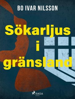 Sökarljus i gränsland (eBook, ePUB) - Nilsson, Bo Ivar