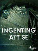 Ingenting att se (eBook, ePUB)