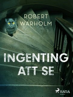 Ingenting att se (eBook, ePUB) - Warholm, Robert
